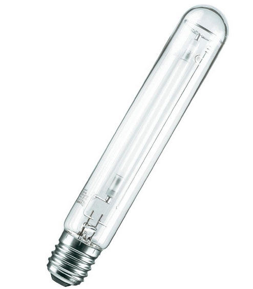 ampoule sodium